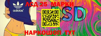 прущие грибы Будённовск