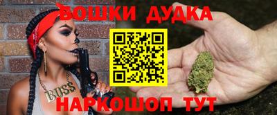 прущие грибы Будённовск