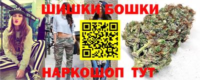 прущие грибы Будённовск
