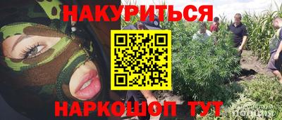 крисы Гатчина
