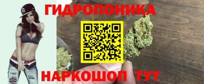 прущие грибы Будённовск