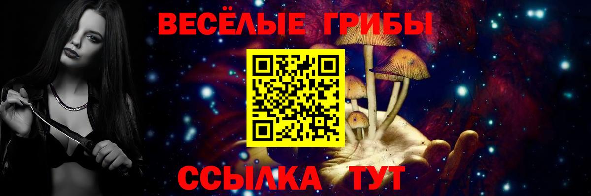 Чехов  Псилоцибиновые грибы Cubensis  Вход с VPN 